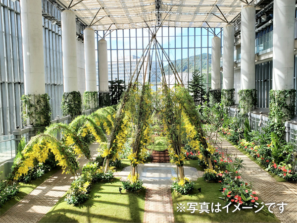 奇跡の星の植物館